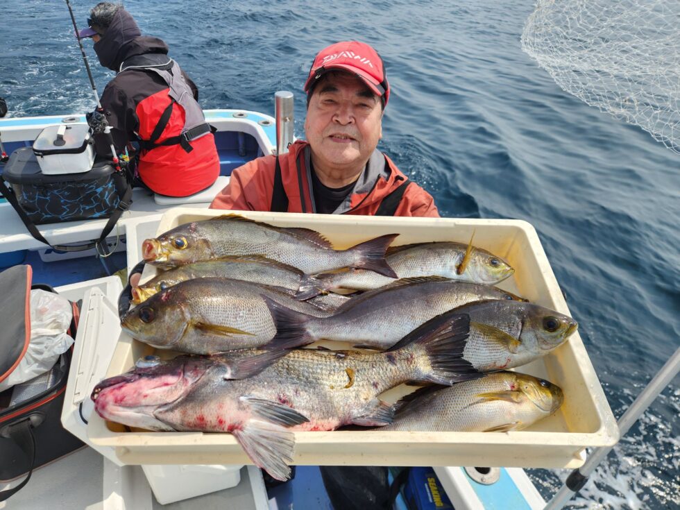 イサキチャンス!