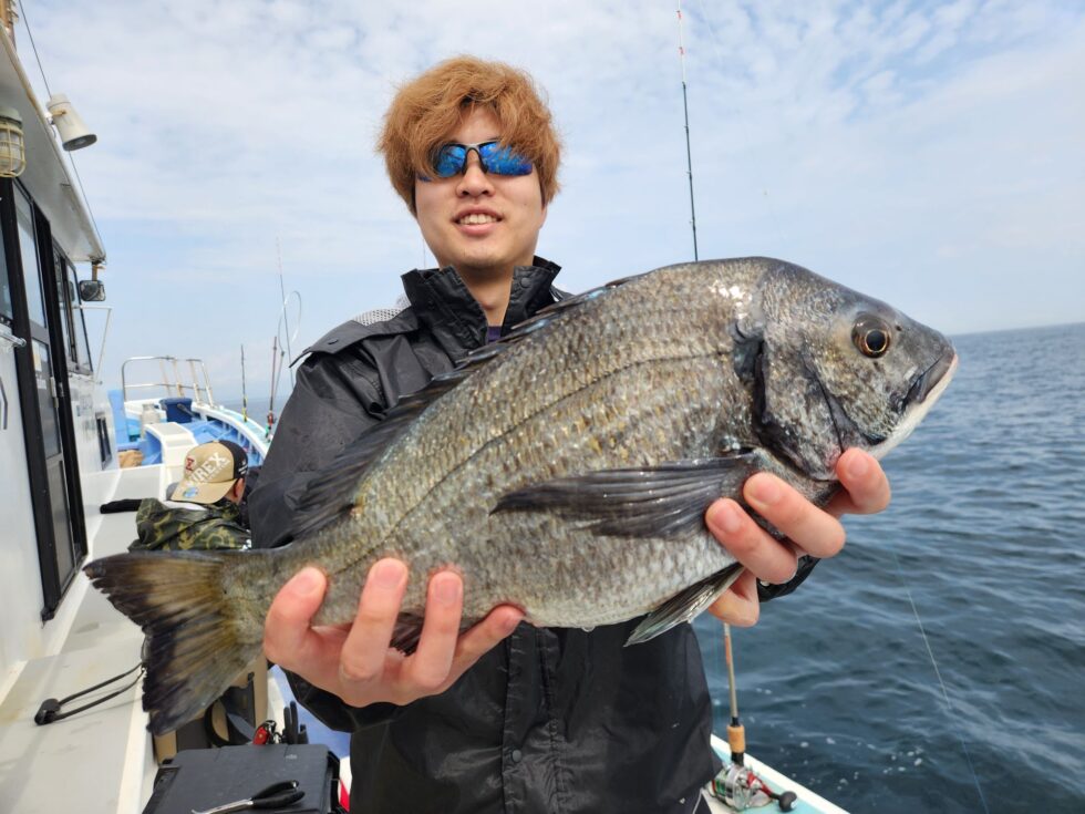 今日も黒鯛登場！