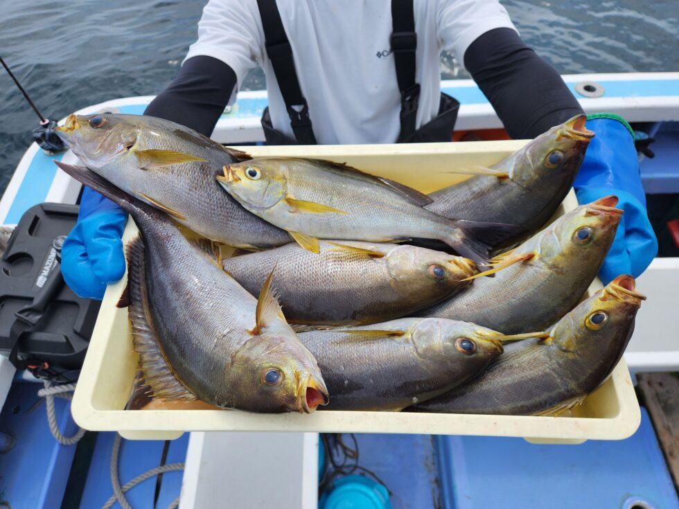 4月1日からイサキ船は5時出船になります。お間違えのないようにお願いします