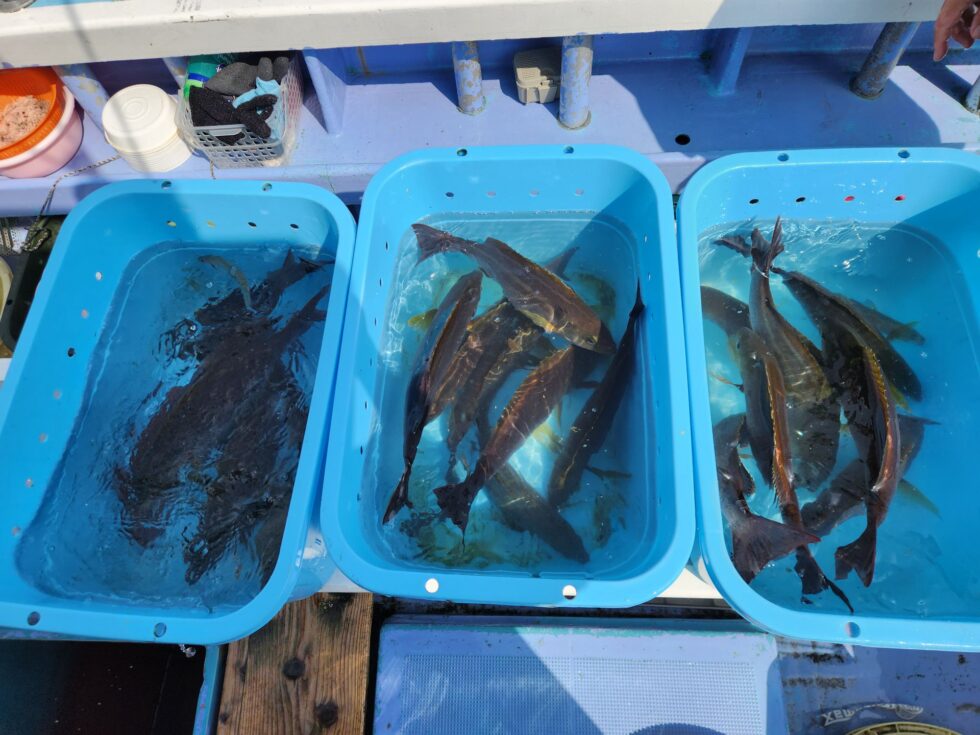 活かしてお持ち帰り！