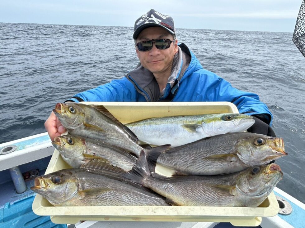 イサキ、ハマチ！