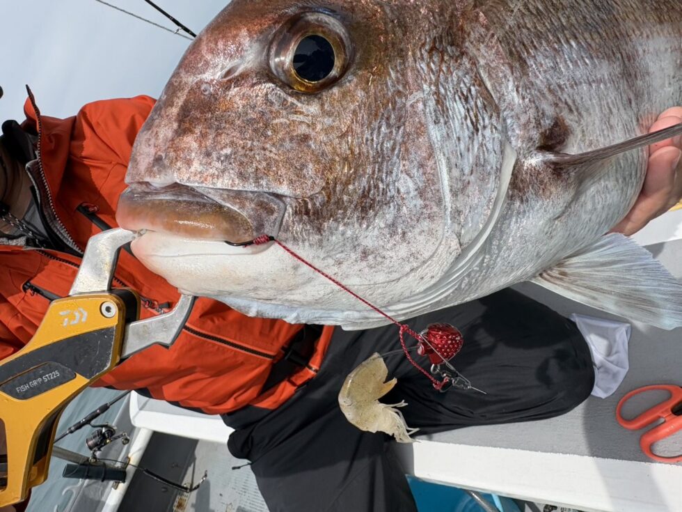 ライトタックルでのやりとりは最高ですよ!