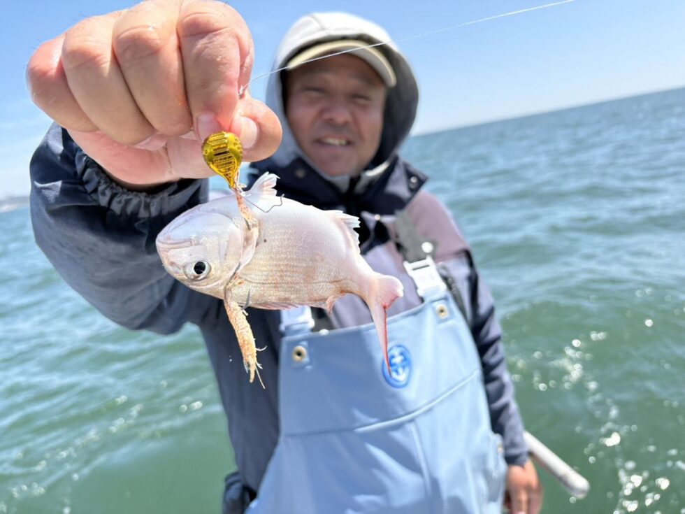 大山沖イサキ釣り、一つテンヤ真鯛釣り、ウタセ五目釣り、予約お待ちしてます!