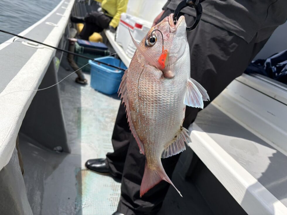 伊勢湾一つテンヤ真鯛予約受付中!