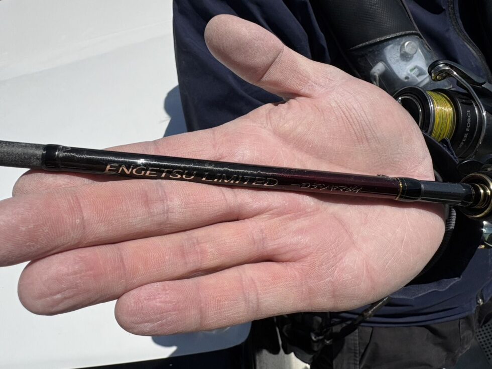 大人気の伊勢湾一つテンヤ真鯛予約受付中！