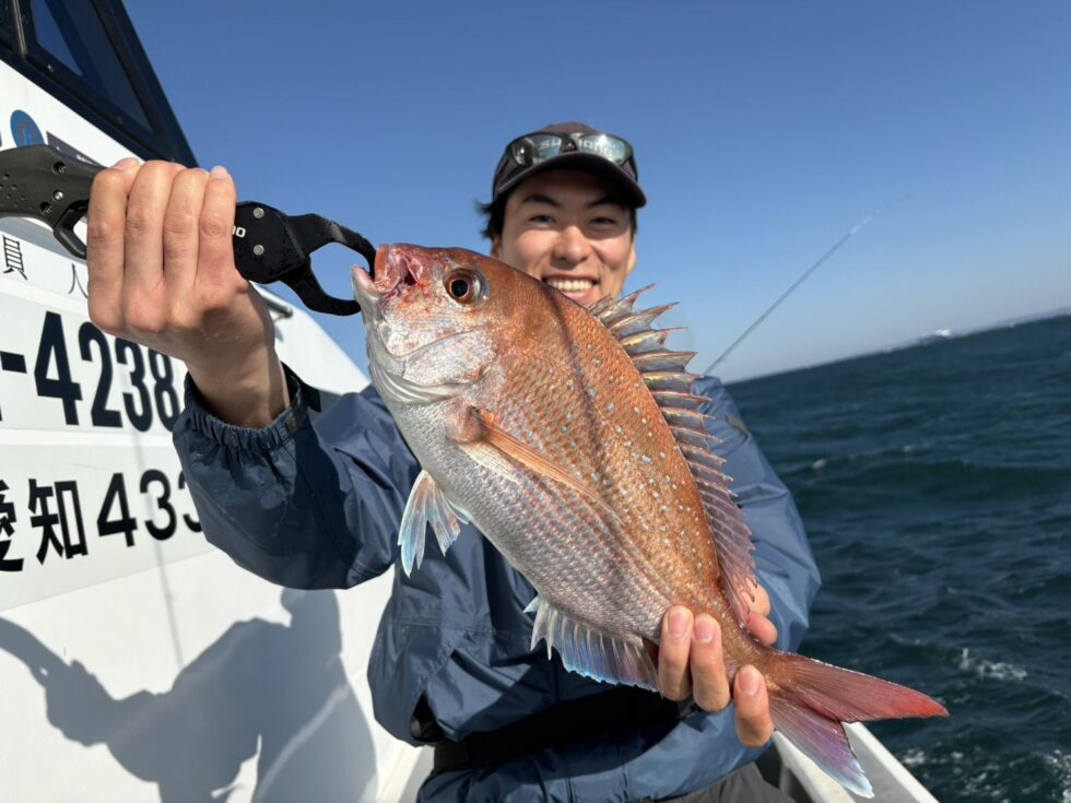 綺麗な真鯛です