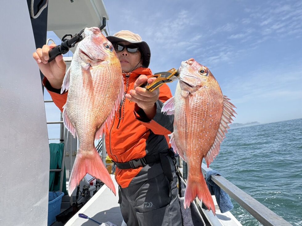 一つテンヤ真鯛出船！真鯛爆発！