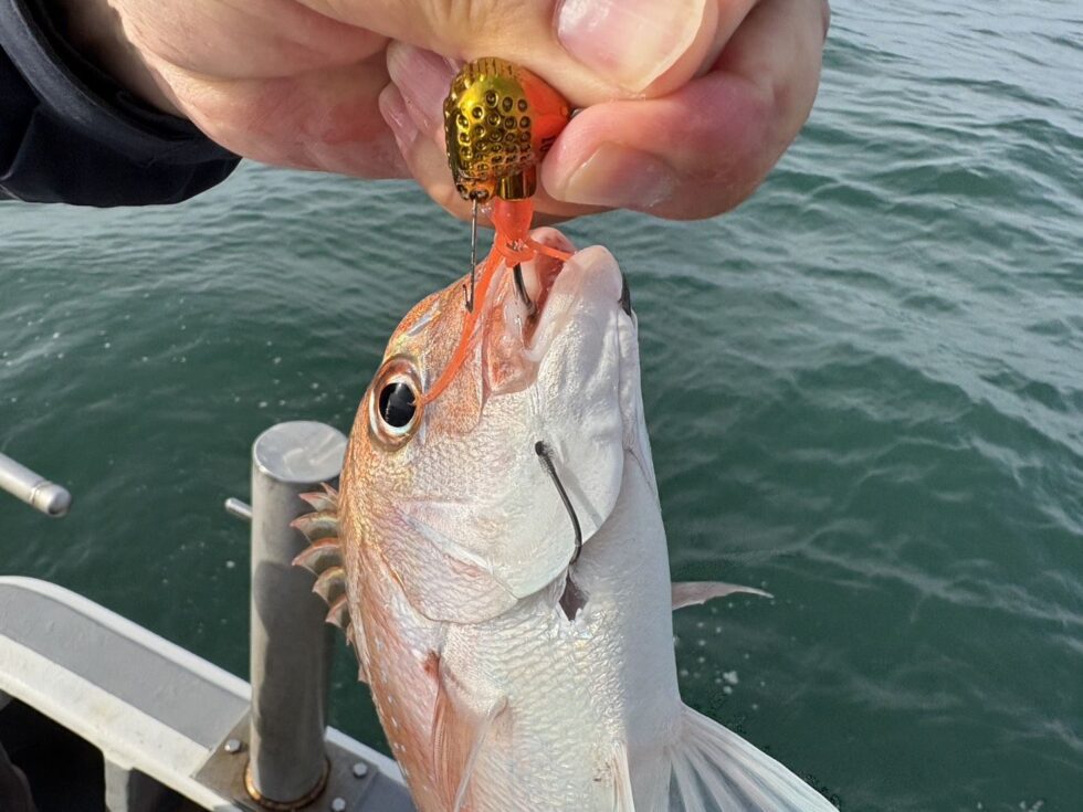 伊勢湾一つテンヤ真鯛爆発！