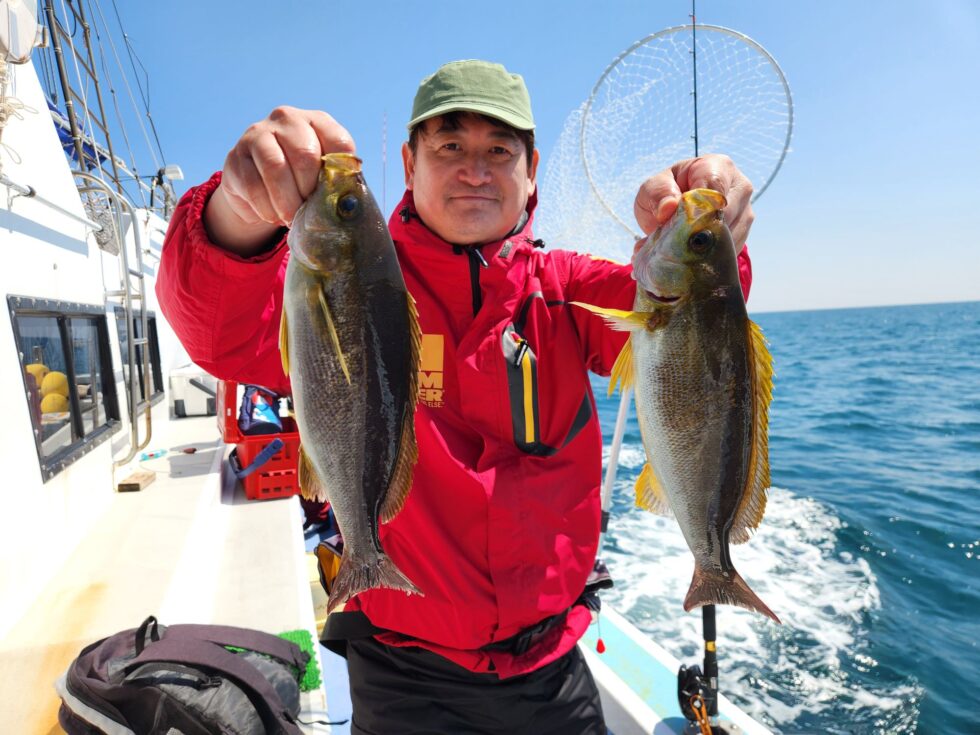 脂のりのり絶品イサキ！