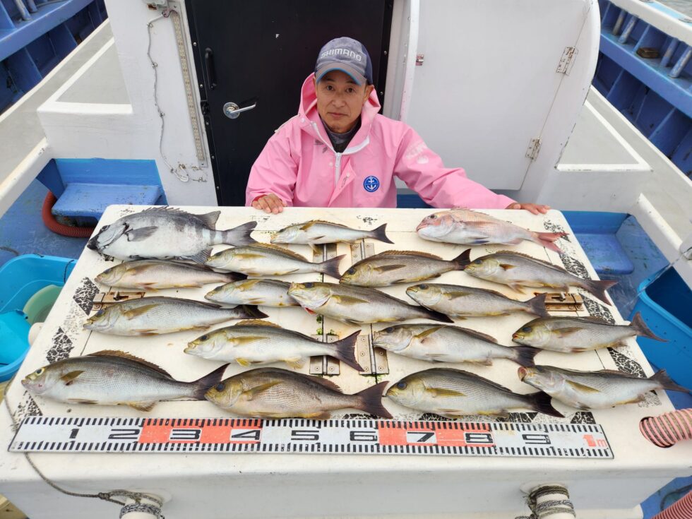 大型イサキが凄い!