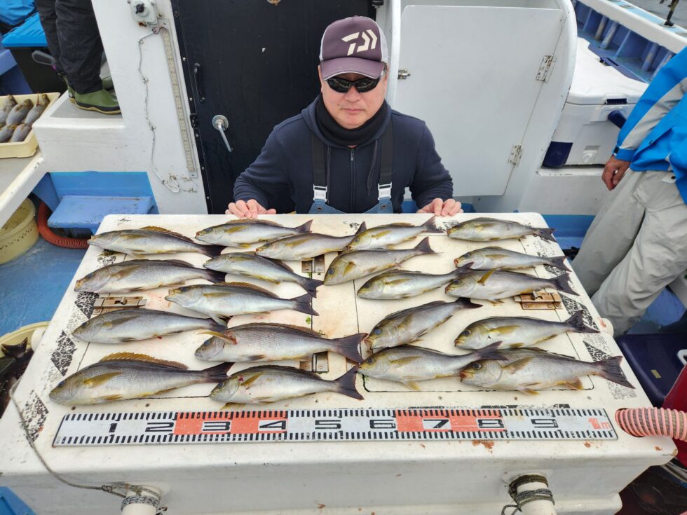 大山沖イサキ絶好調！20匹ゲット！