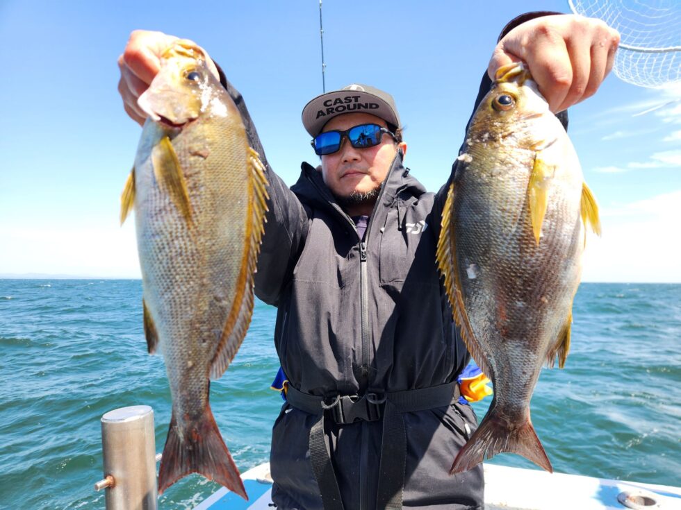 人気の大型イサキ!