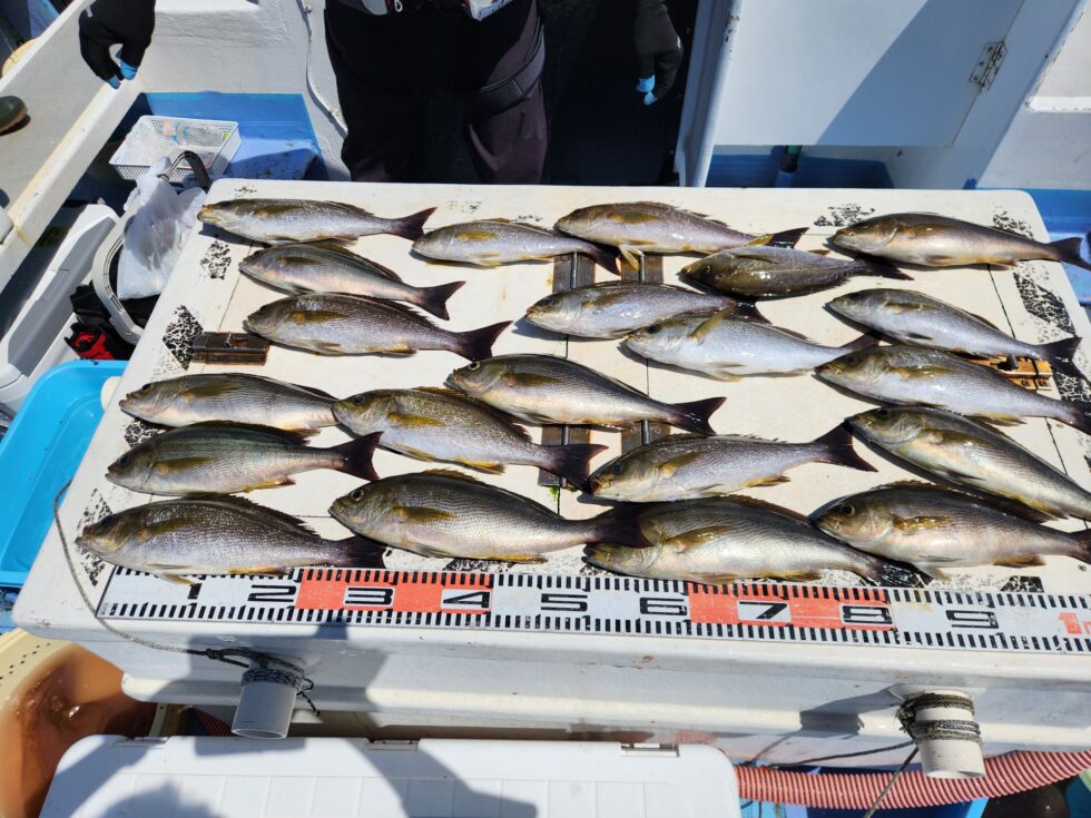 明日(月)空き多数、朝の飛び入りOKですよ