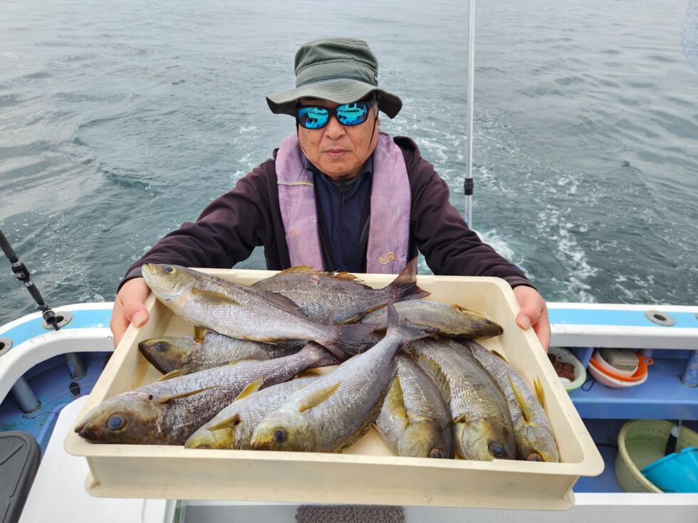 イサキ大チャンス！