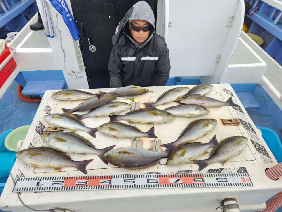 大チャンス到来中!