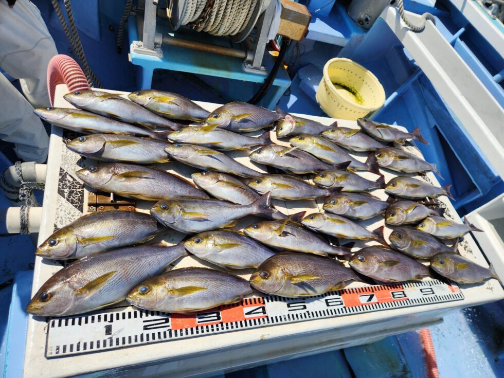 ジャンボイサキ大チャンス！竿頭32匹！