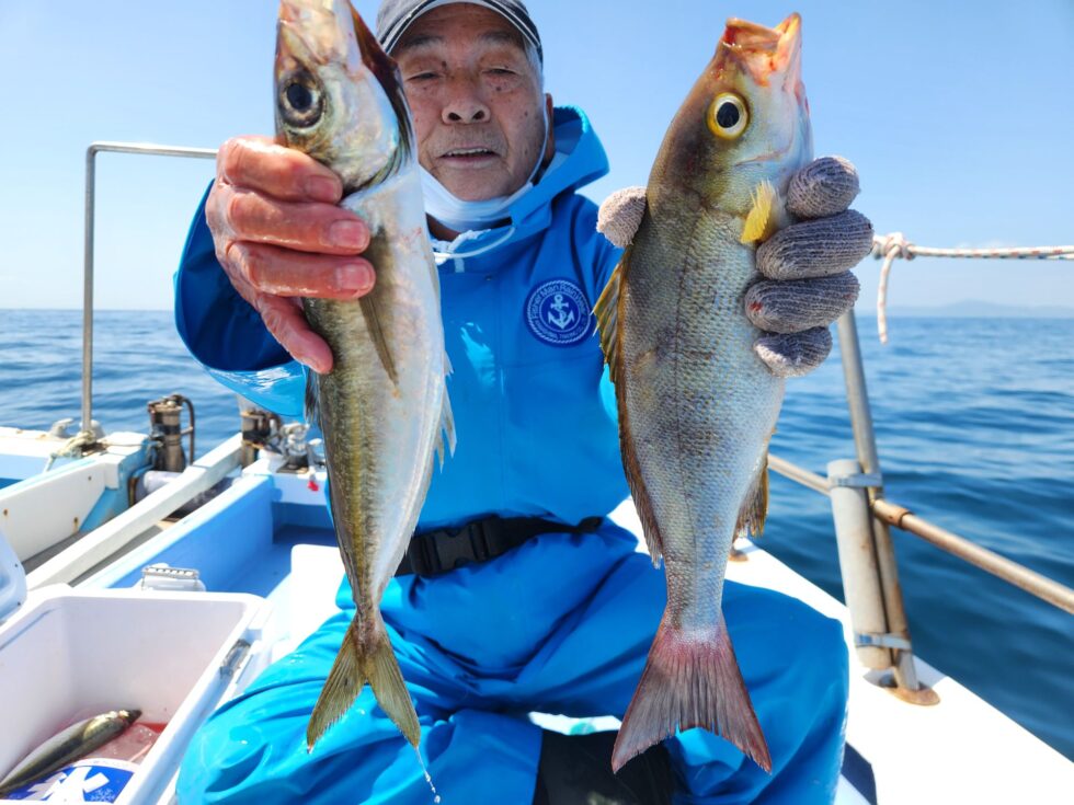 アジ、イサキ！