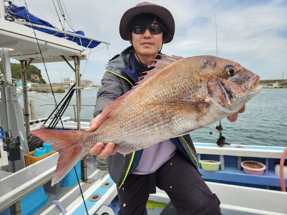 真鯛も登場！