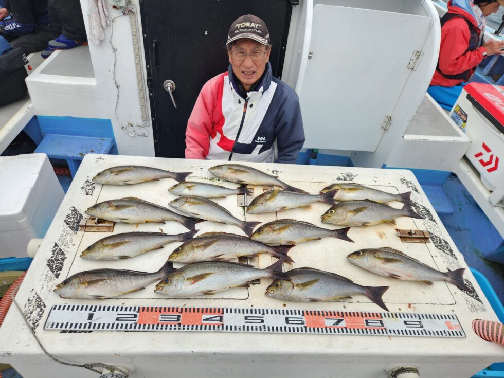 大山沖イサキ好調ー！