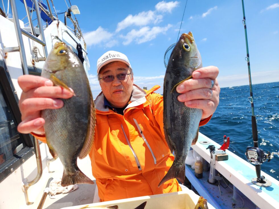 脂のりのりです！