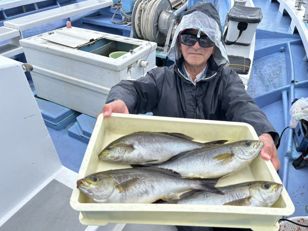 明日(火)大山沖イサキ釣り、一つテンヤ真鯛釣り、出船です！どちらも空き多数、朝の飛び入りOKですよ。