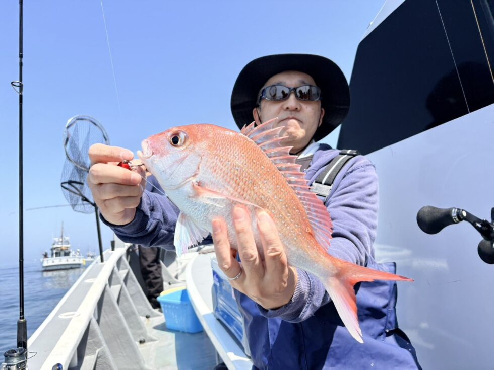 明日(日)一つテンヤ真鯛空き多数、朝の飛び入り大歓迎ですよ！