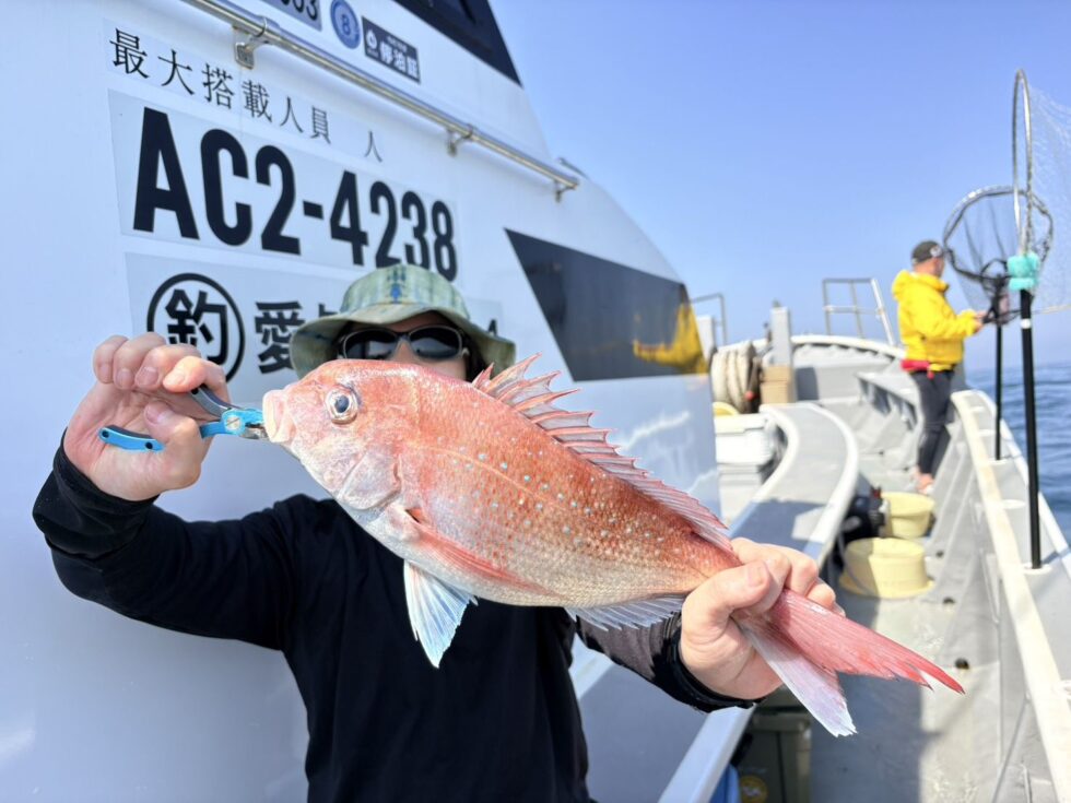 伊勢湾一つテンヤ真鯛大チャンス到来中!