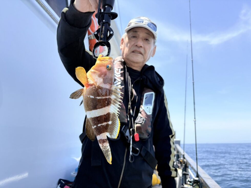 明日(火)も大山沖イサキ船、一つテンヤ真鯛船、出船確定です！朝の飛び入りOKですよ
