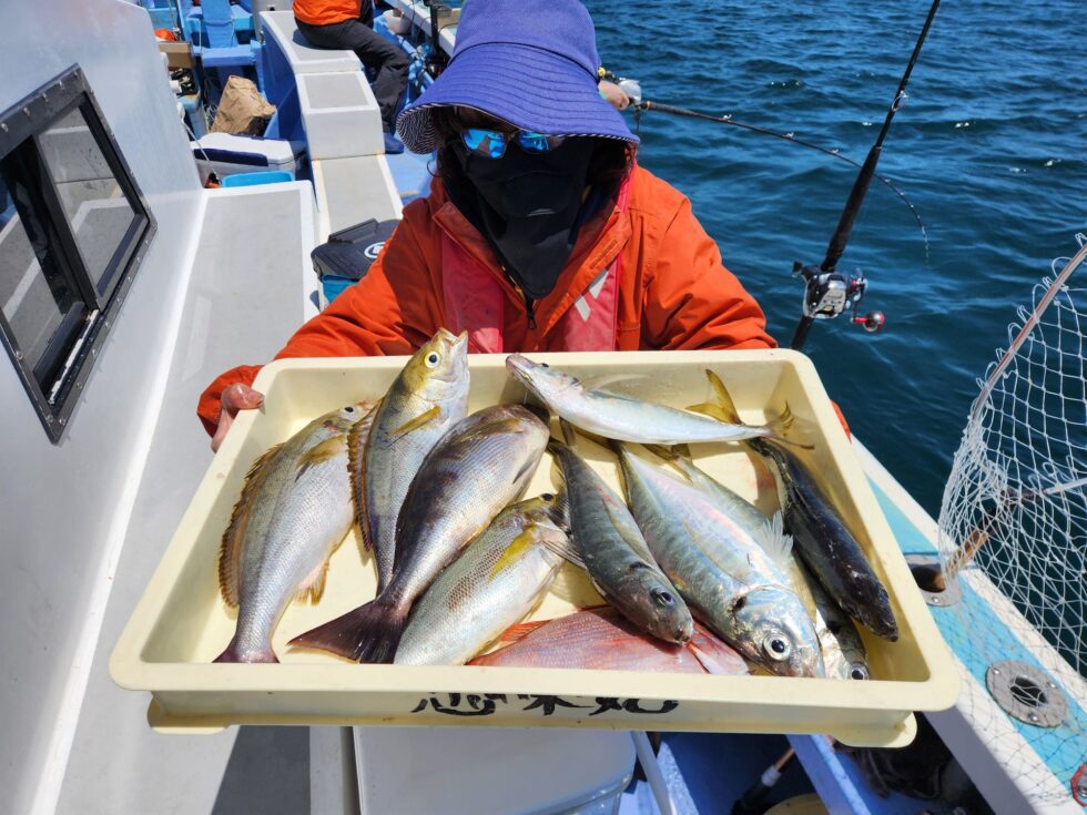 イサキ、大アジ釣りまくり！