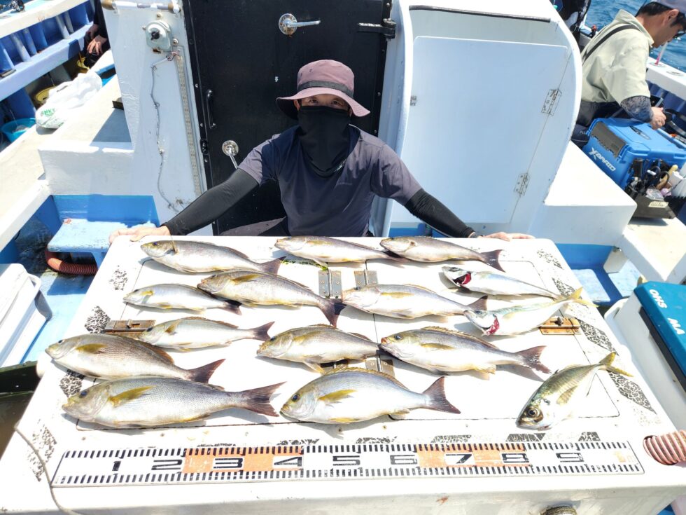 大山沖イサキ、大アジ連日絶好調ー！