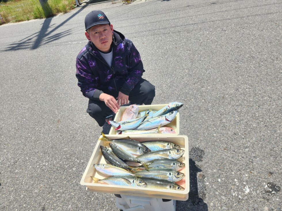伊良湖沖、大アジ、サバ続々！