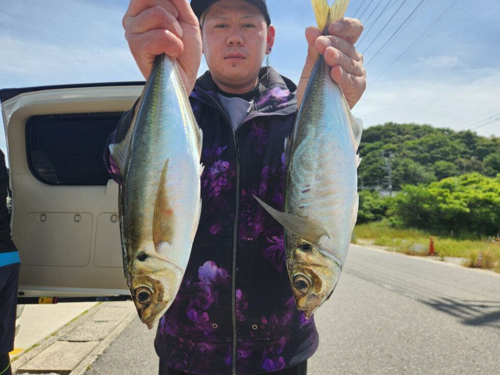 伊良湖沖大型マアジ！明日(月)は穏やか、大山沖直行です！