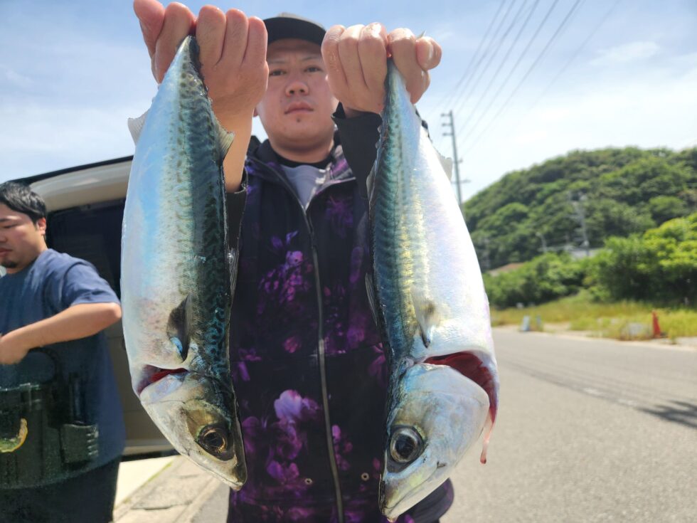 真サバも嬉しい！