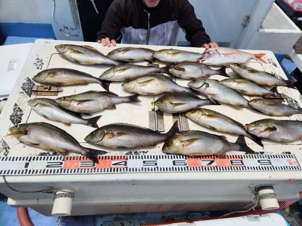 早めの釣行がお勧めです！
