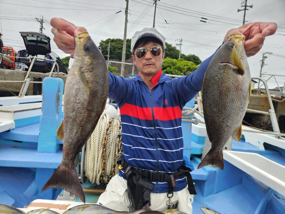 名人さん2日連投!