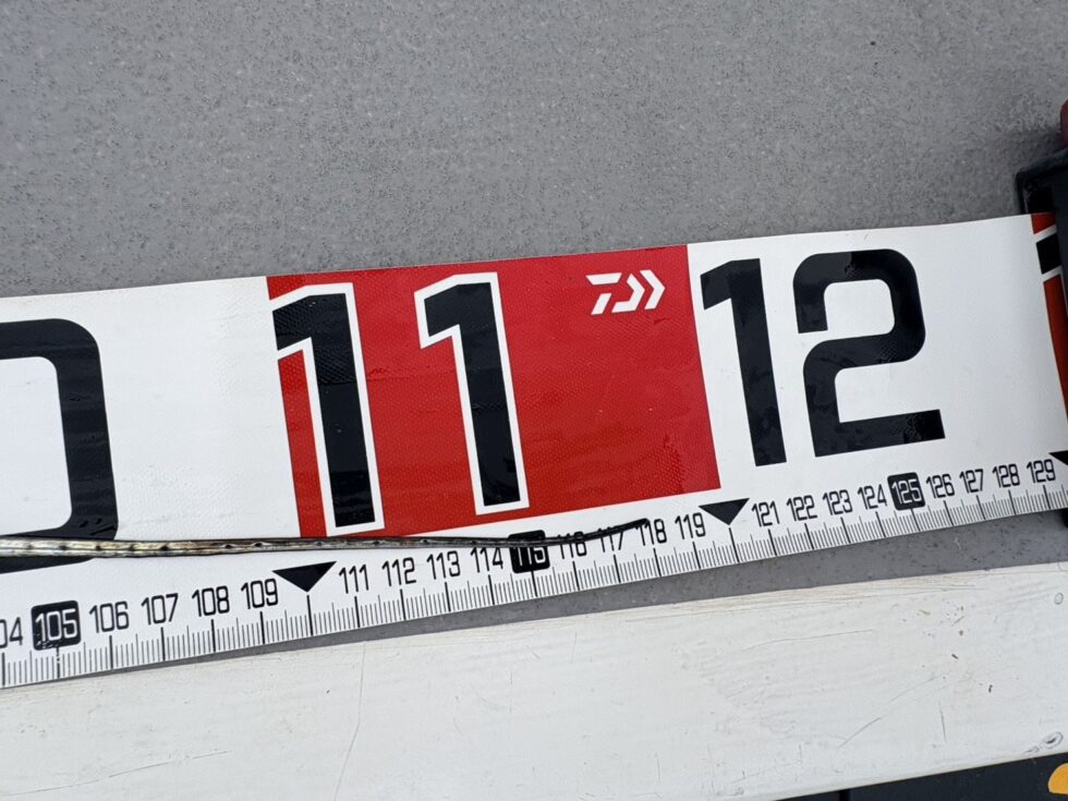 ドラゴンまであと２㎝！明日に期待！