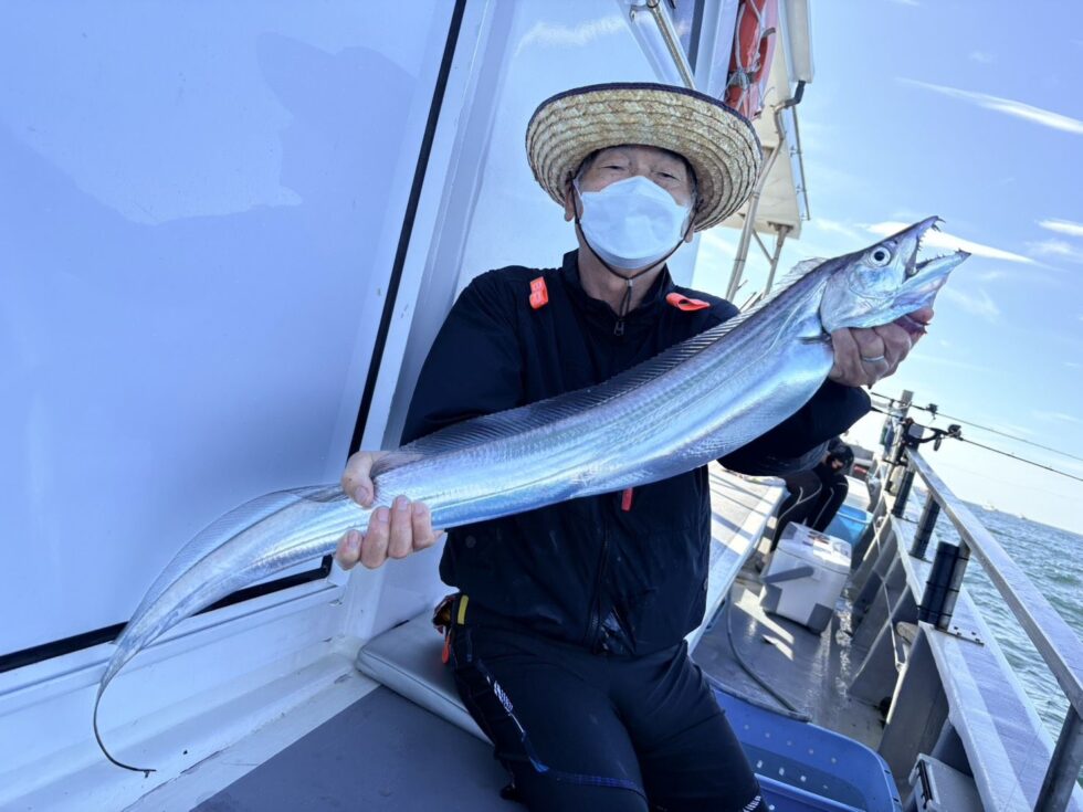 伊良湖水道大型タチウオ大復活！善は急げ！