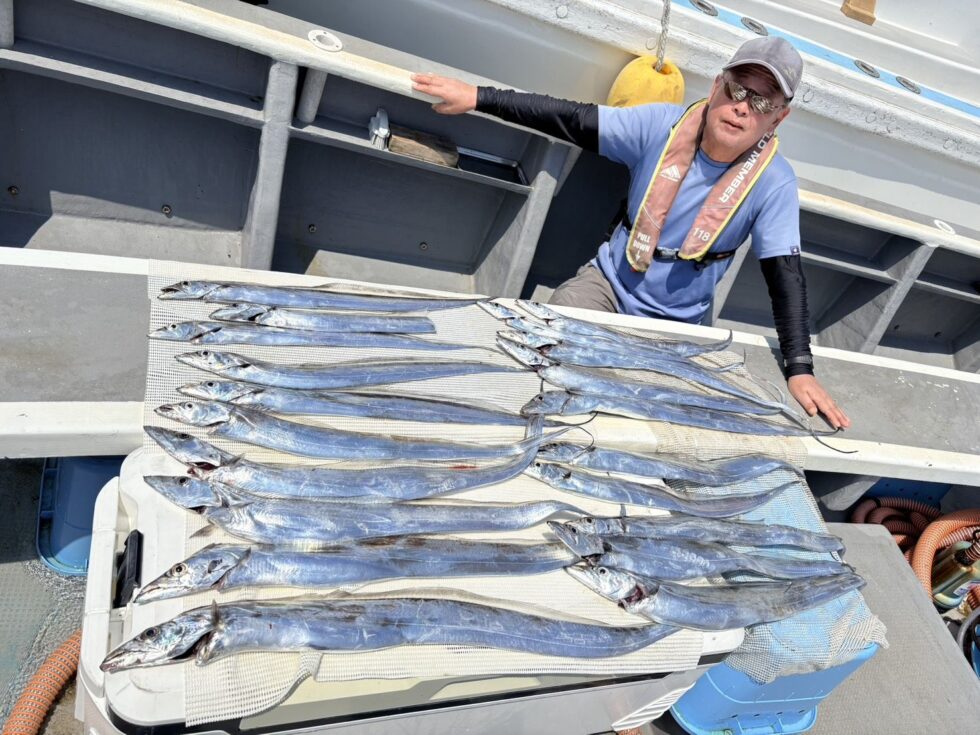 タチウオぼこぼこー！連日トップ20本超えの爆釣ですよ。