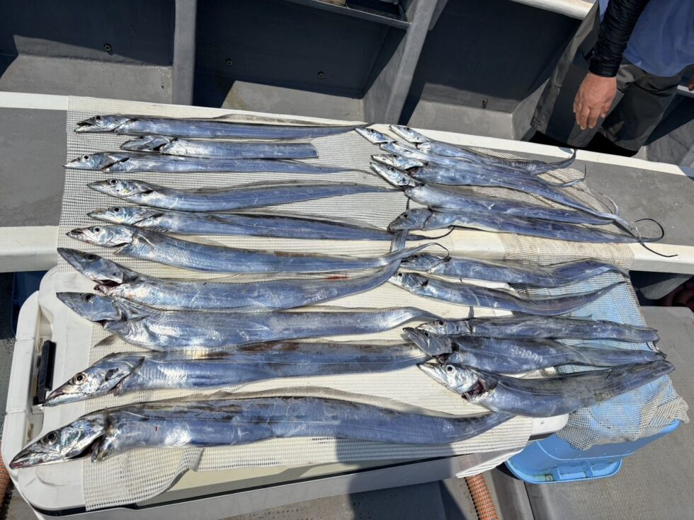 お１人様分の釣果ですよ。
