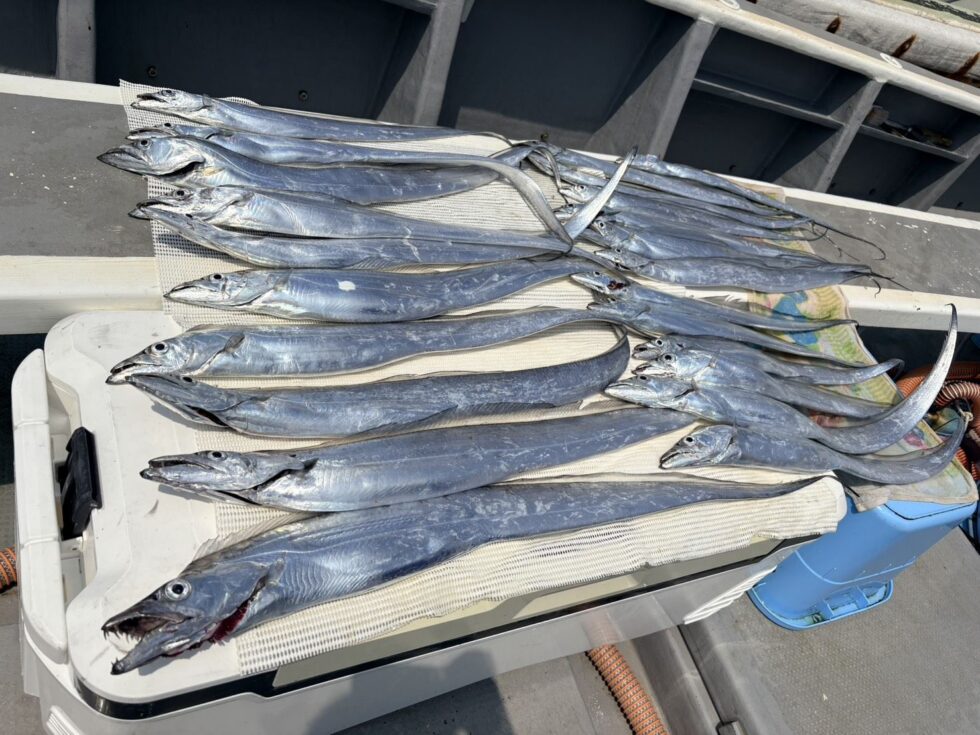 圧巻の釣果!
