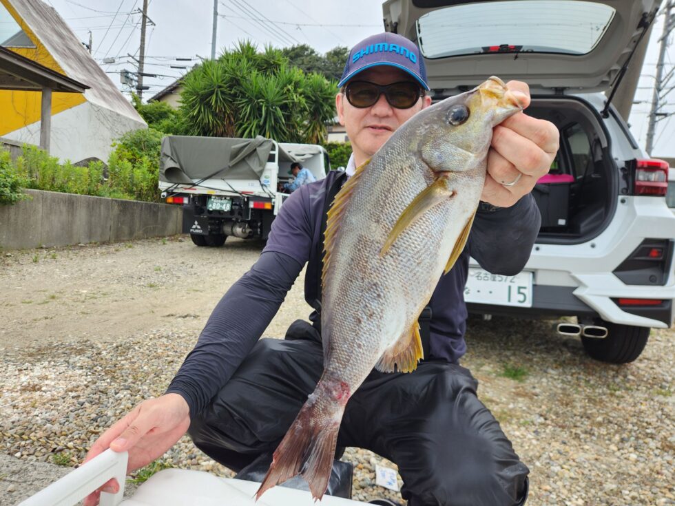 大山沖、まだまだジャンボイサキ健在！