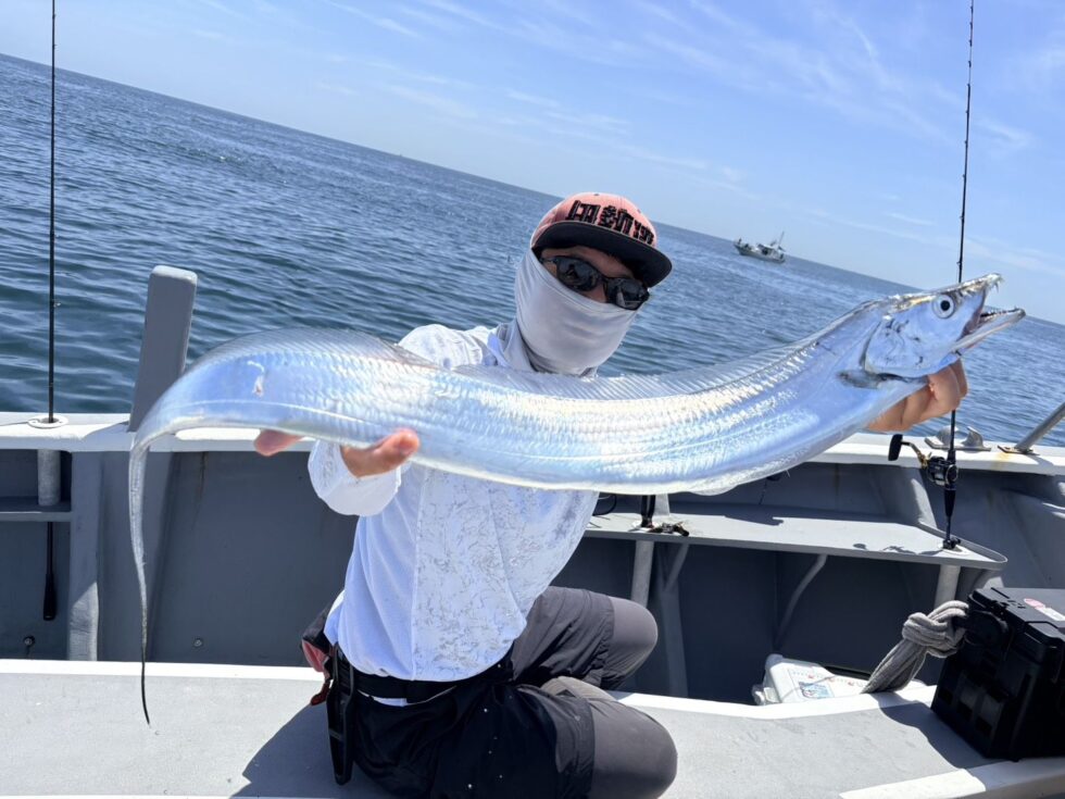 伊良湖沖大型タチウオ！