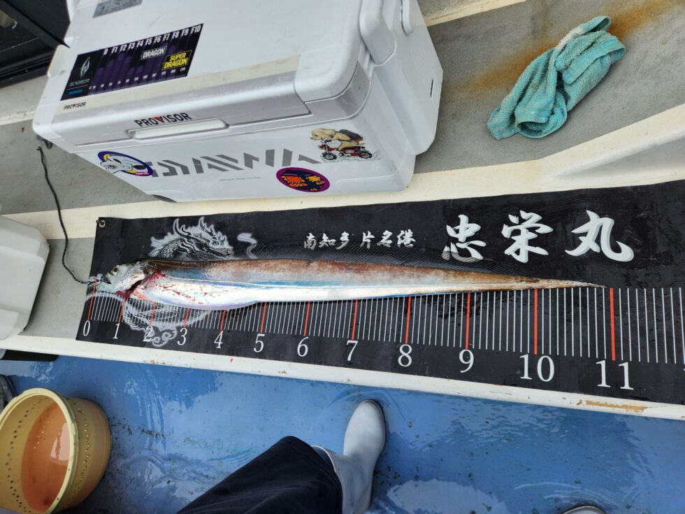 指７デブゴンはすべて尾切れでした～