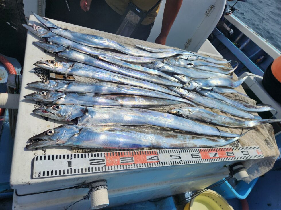 朝便伊良湖沖直行です！明日(月)２隻分乗します。かなり空き多数、朝の飛び入りOK