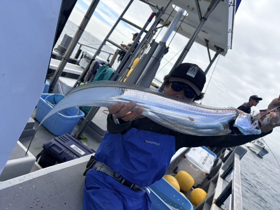 伊良湖産デブゴン！