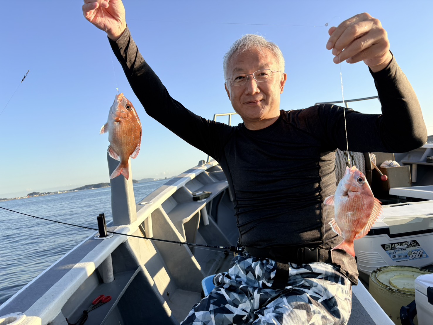 午後ウタセ船が面白い！