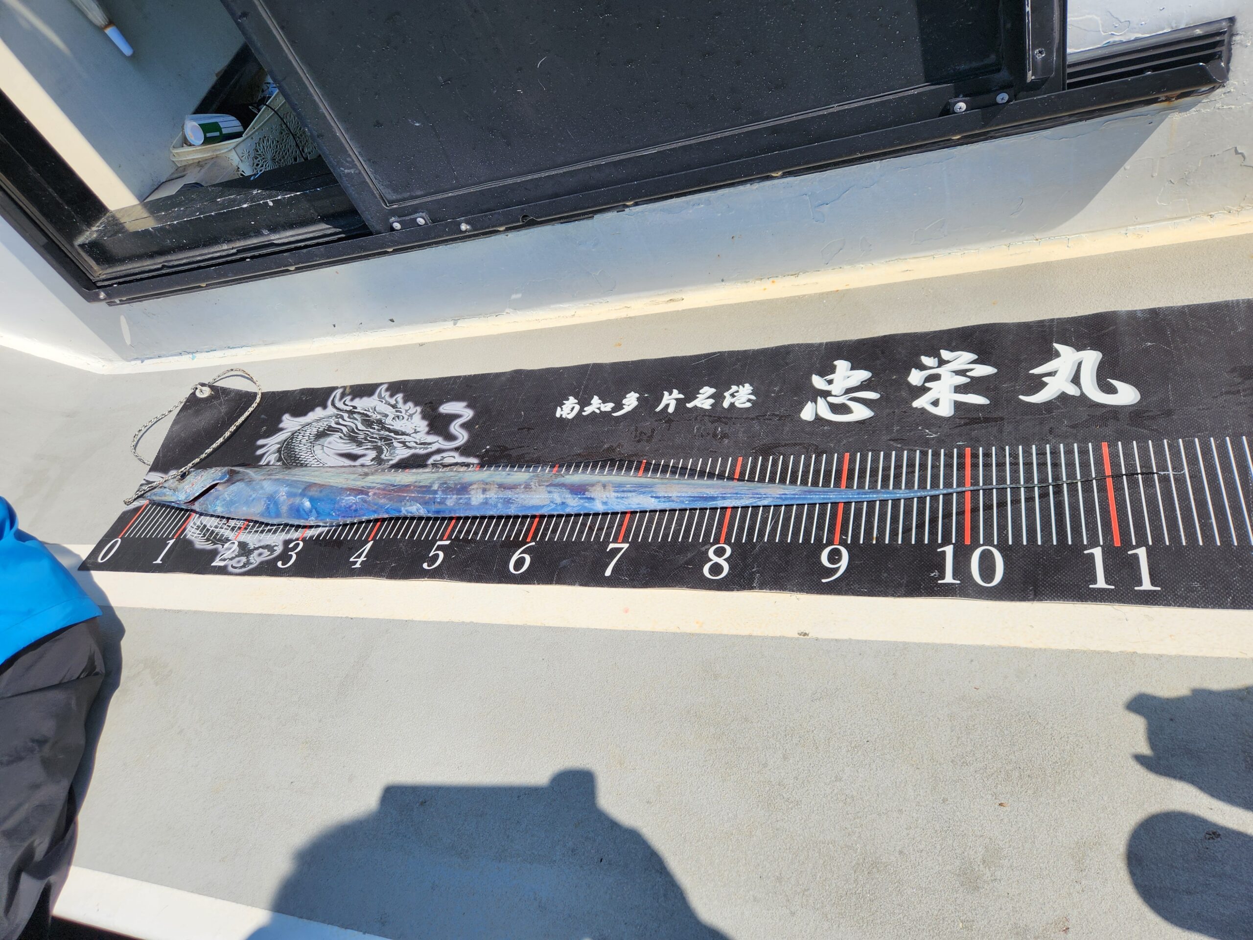 テンヤタチウオ貸切！大型タチウオ乱舞！ 写真5