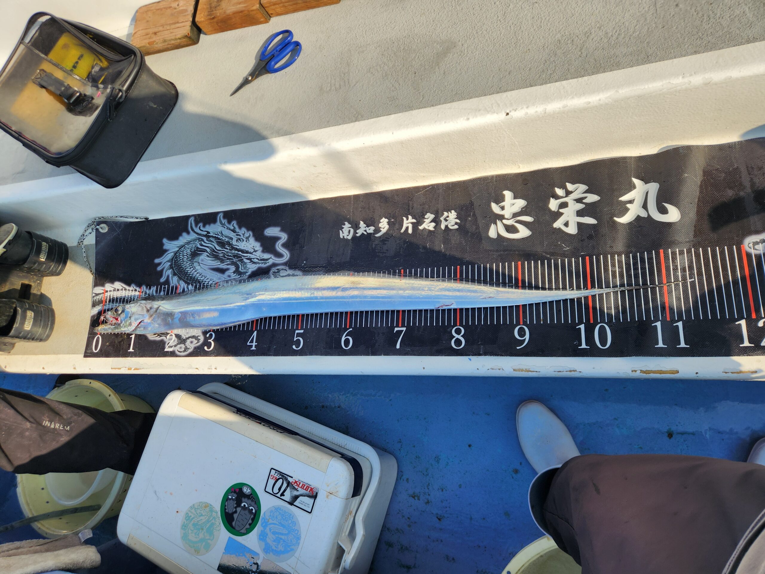 サイズ、数ともに最高潮！ 写真6