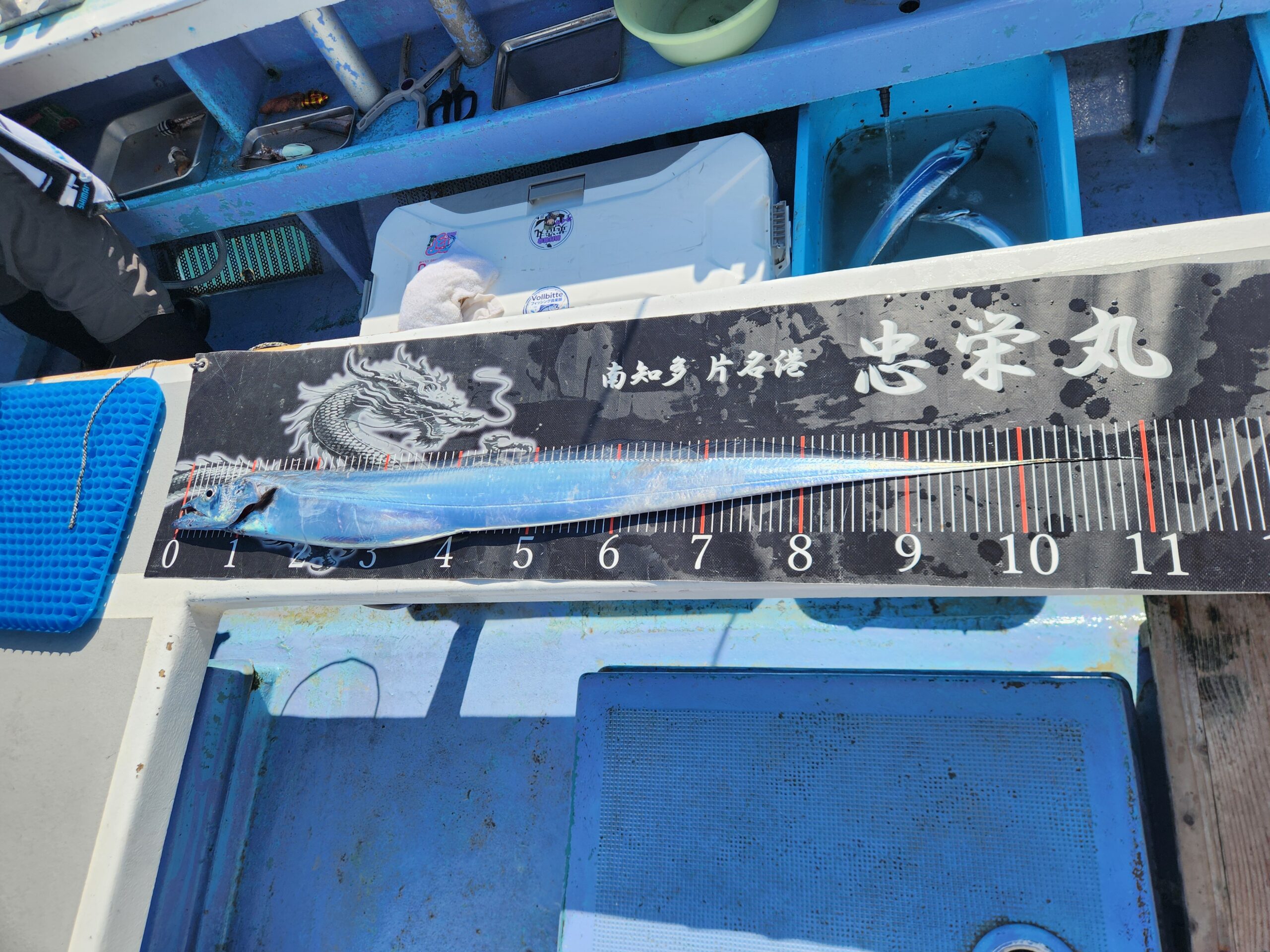 サイズ、数ともに最高潮！ 写真2