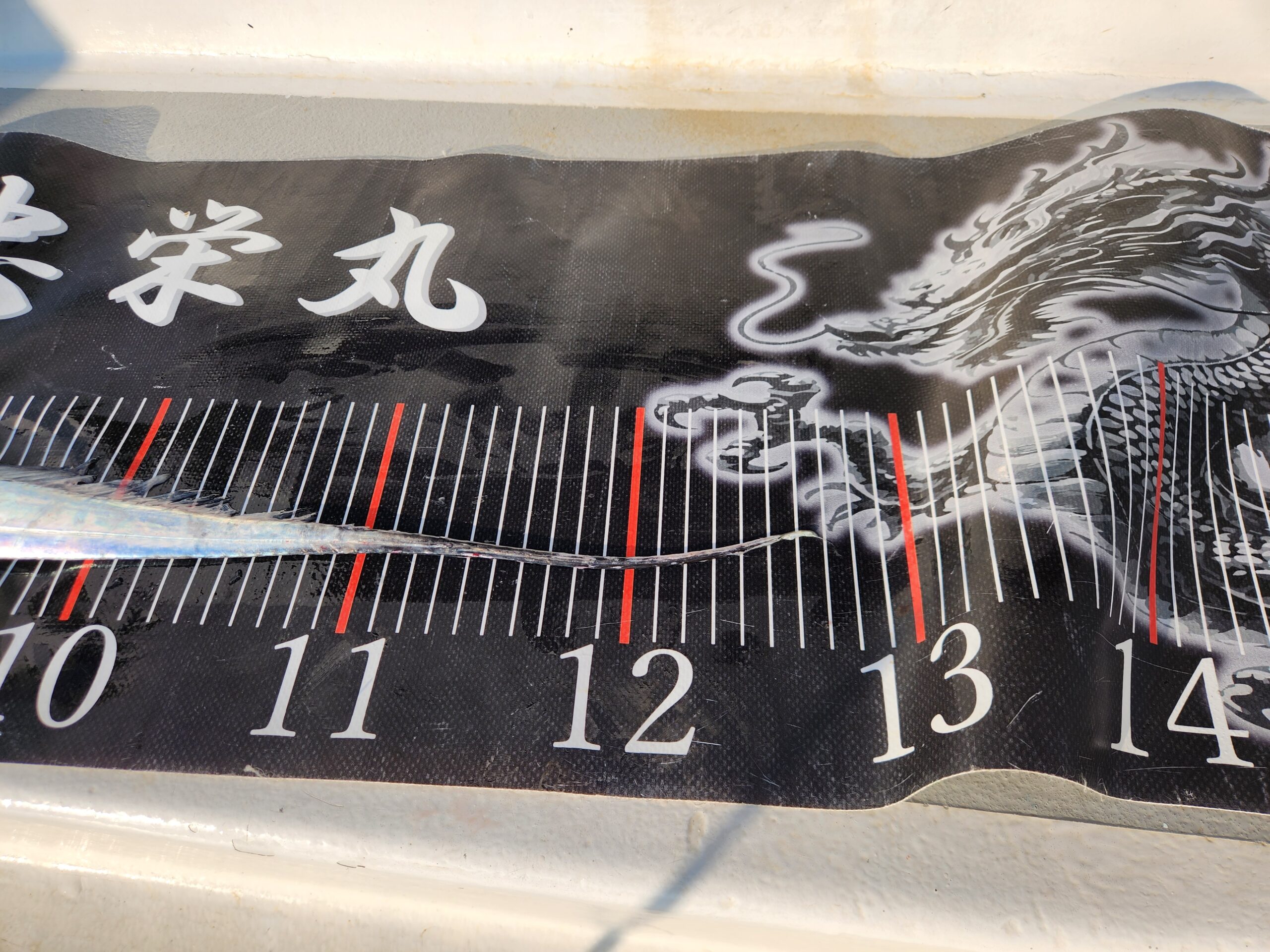 大型タチウオ続々！最大127㎝！竿頭59本と連日爆発ー！ 写真3